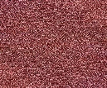 Natura Vino | Polipiel.com