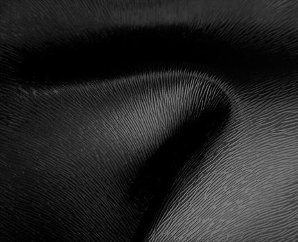 Polipiel potro black | Polipiel.com